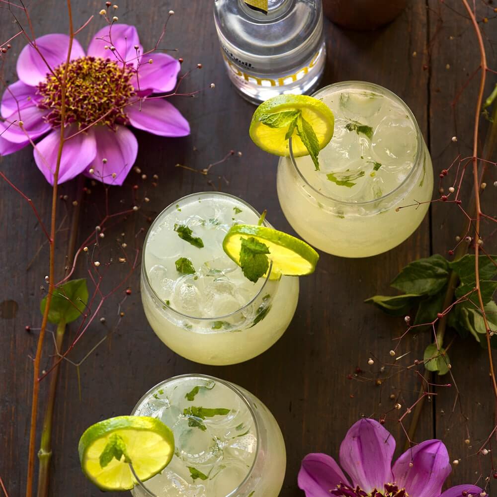A Gimlet Cocktail Box