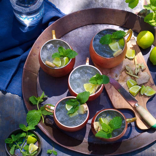 The Moscow Mule Cocktail Kit